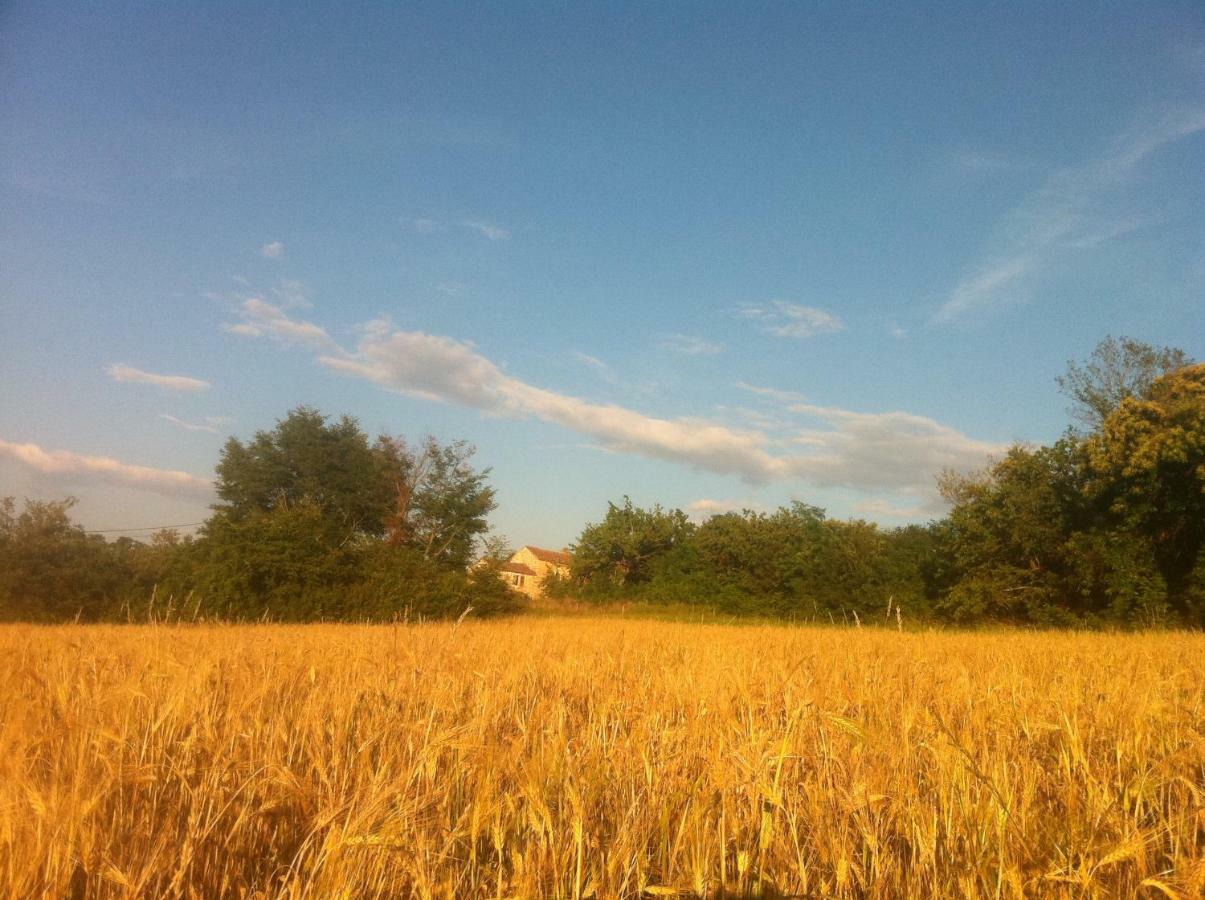 Tenuta Paljari Vizinada Luaran gambar